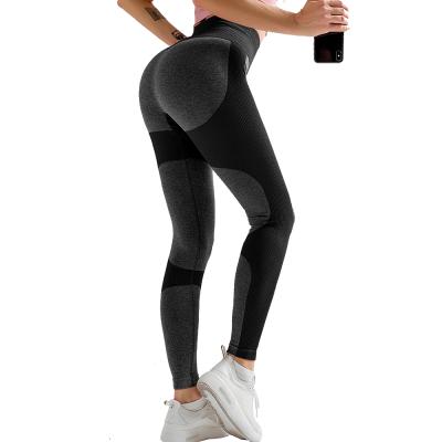 China China Wholesale Sports Wear Women Gym Fitness Cycling Workout Breathable Active Yoga Pants for sale