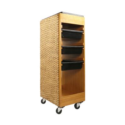 China Wholesale Portable Modern Salon Furniture Beauty Spa Furniture Storage Salon Equipment Trolley for sale