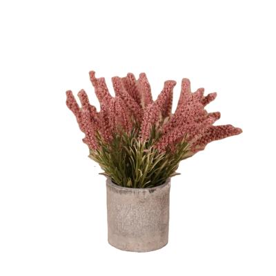 China Decoration for All Used Artificial Plastic Plants Wholesale Pulp Basin for Office Desk Decoration for sale