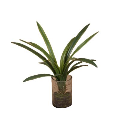 China Decoration for any occasion wholesale artificial green plants can be customized glass pot home office decoration for sale