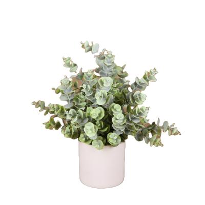 China Decoration for All Seed Customizable Plastic Mini Evergreen Tree Potted Artificial Eucalyptus Eucalyptus for sale