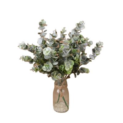 China Decoration for all used eucalyptus wholesale artificial plastic leaf contact eucalyptus real leaves stem for decor for sale