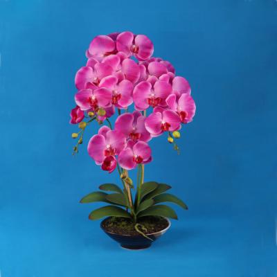 China Ceramic Artificial Orchid , Pink Orchids In Ceramic Bowl for sale