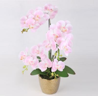 China Handmade real touch orchid fabric decoration artificial rose flower with gold plate pot for home decoration for sale