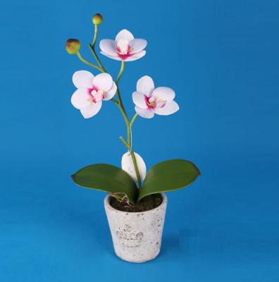 China Wholesale Tissue Small Orchid Bonsai, 30cm Silk Artificial White Orchid Flowers With Pot Import for sale