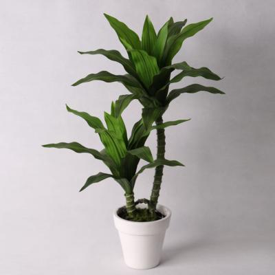 China Occasional Artificial Landscape Magnolia Tree Potted for sale