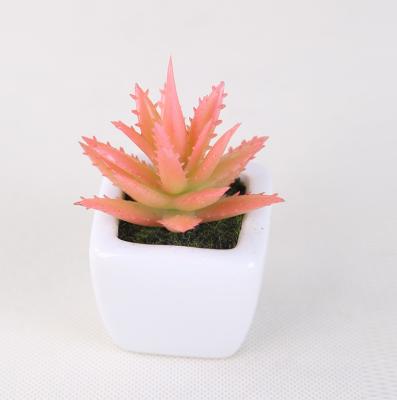 China Mini rose potted artificial plastic succulent on sale for sale