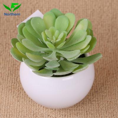 China New Arrival China Supplier Ceramic Artificial Plant Pot Wholesale Artificial Succulent Plants for sale