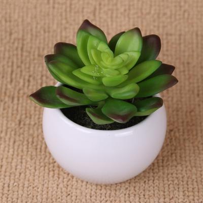 China China Supplier Best Quality Plastic Succulent Artificial Ornamental Plants Transitional for sale