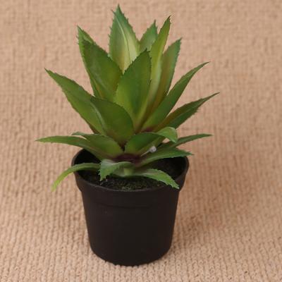 China Wedding& Wholesale Good Quality Cheap Home Decoration Mini Succulents Artificial Tropical Plants for sale