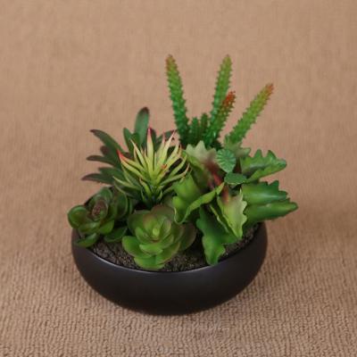 China Decoration for all Artificial Succulents Mini Potted Fake Succulents from Fake Succulent Plants Occasion for Flower Arrangements for sale