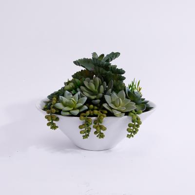 China Factory Wholesale Minimalist Artificial Succulent Decor Letter Diy Artificial Preserved Succulent In Box for sale