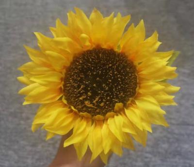 China Sunflower Top Decoration Large Flower Single Grade Sunflower Stem for sale