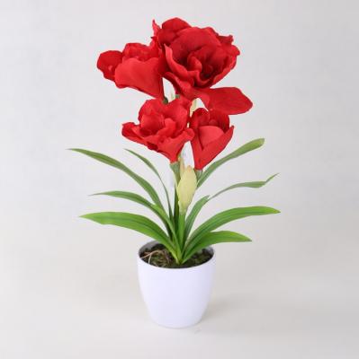 China Decoration for all used cheap wholesale artificial red amaryllis flowers with ceramic pot for decoration for sale