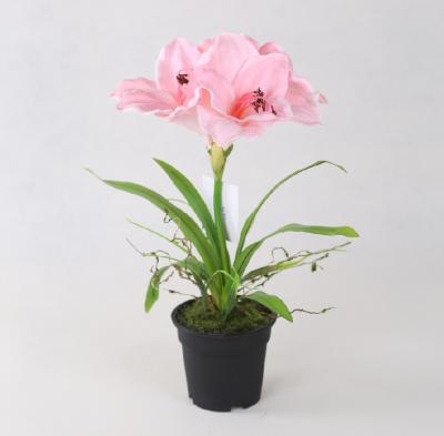 China Artificial Fabric Hippeastrum Flowers, Factory Direct Wholesale Cheap Artificial Amaryllis Flower for Festival Decor, Pink Amaryllis for sale