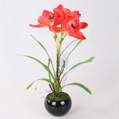 China Fabric 36 cm Red High Quantity Artificial Hippeastrum Flowers, Artificial Amaryllis Flowers Manufacturer for sale