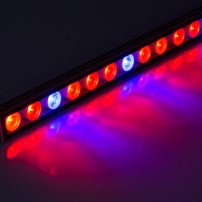 China Seed starting 55cm 85cm 115cm led strip grow light full spectrum high umol led grow light indoor led grow lights for sale