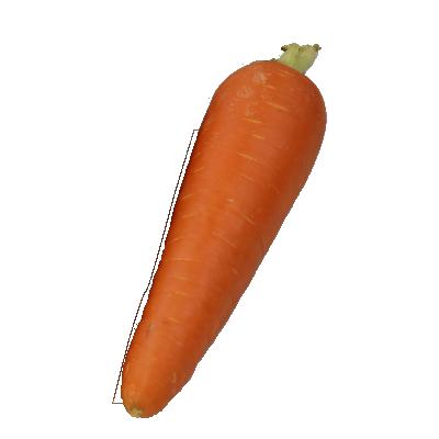 China Best Selling Products Fresh Carrot For Sale Farmland Carrot for sale