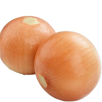 China Healthy Fresh Yellow Onion Brown Onion Non Peeled Onion Price 1 Kg for sale