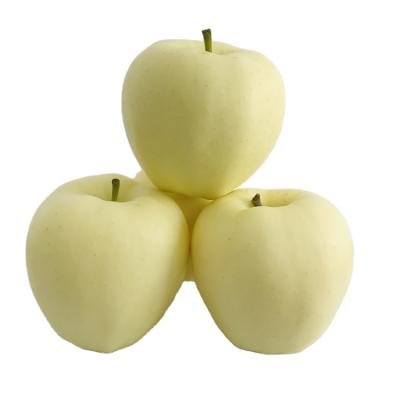 China Gansu Fresh Golden Delicious Apple Whole Sale Fresh Fruit Golden Apple for sale