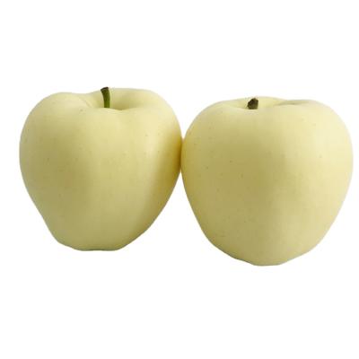 China Fresh high quality fresh green apples Golden Year Delicious around CN °C -1°C-1; GAN Crispy Sweet Grade 1 yellow grade, yellow 8 cm for sale