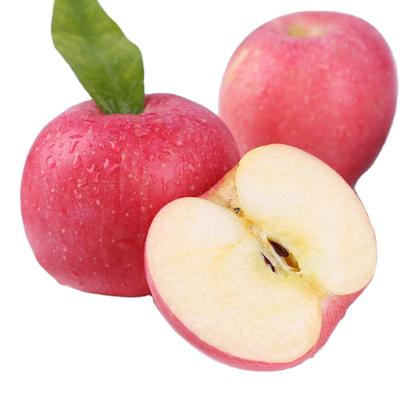 China China high quality wholesale fresh royal gala fresh fruit apple fresh apple for sale