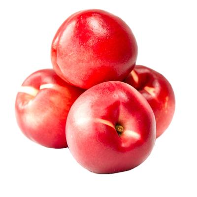 China Hot Selling Fresh Competitive Price Export Sweet Fresh Nectarine for sale