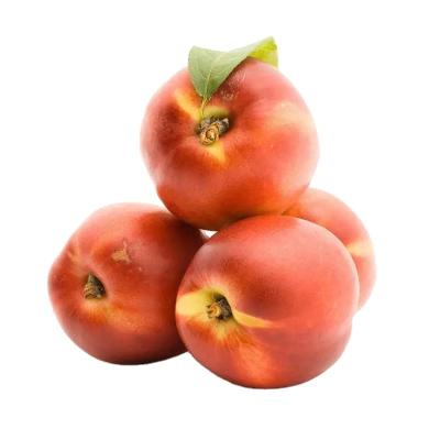 China High Nutritious Wholesale Fresh Fruit Healthy Sweet Fresh Nectarine for sale