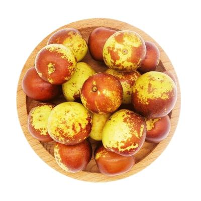 China Nutritious Taste Sweet Hot - Delicious Red And Green Winter Sale Fresh Jujube for sale