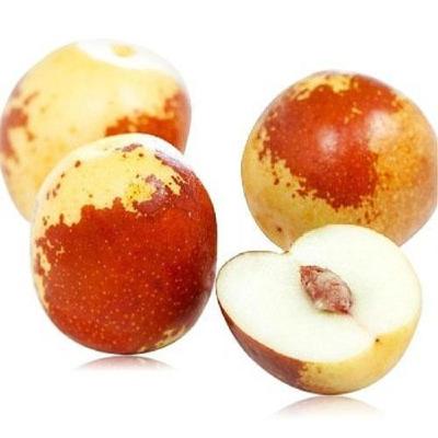 China Excellent nutritious high quality Chinese special dates jujube Dong fresh fruit winter jujube for sale