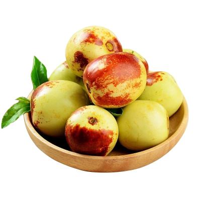 China Nutritious Chinese popular row jujube winter fresh high quality jujube with food people like to eat for sale