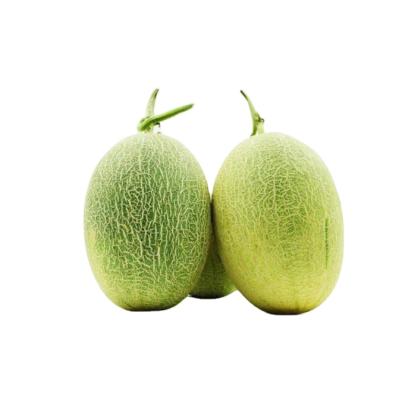 China All over the world hot-selling fresh health hami fresh high-grade delicious sweet melon for sale