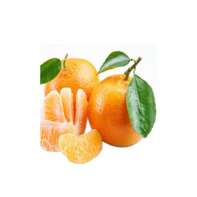 China Mandarin Orange Tangerine Good Price Tangerine Healthy Sweet Fresh Orangic for sale