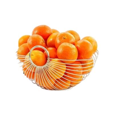 China Good Quality Fresh Fruit Tangerine Healthy Fresh Citrus for sale