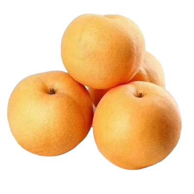 China Wholesale fresh bulk qiu Yue high quality juicy pear for sale