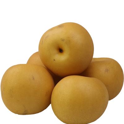 China 2021 fresh wholesale popular Yue qiu fresh pear for sale