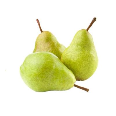 China Fresh Export Shandong Juicy Fresh Pear for sale