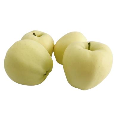 China China healthy hot-selling pure natural golden apple for sale