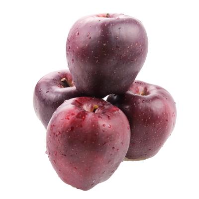 China Chinese newest popular healthy export healthy huaniu apple for sale