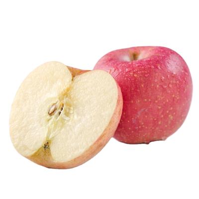 China Fuji fresh red apple export wholesale juicy fresh apple for sale