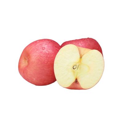 China Export Fresh Sweet Rich Nutrition Fresh Fuji Red Apple for sale