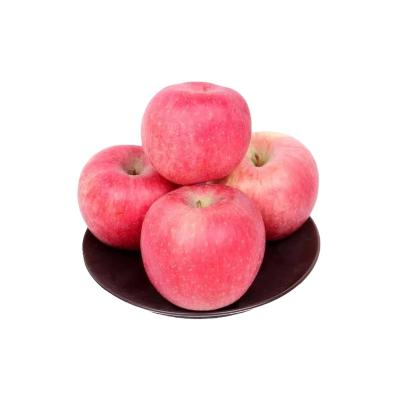 China Wholesale Chinese Healthy Fresh Hot Selling Fuji Red Apple for sale