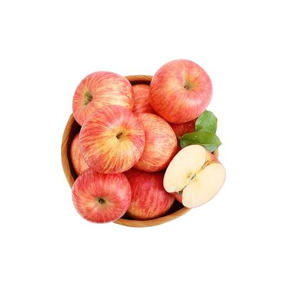 China Chinese healthy export Fuji best-selling red apple for sale