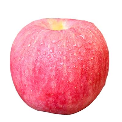 China Fresh Fruit Fuji Bulk Red Delicious Fresh Apples for sale