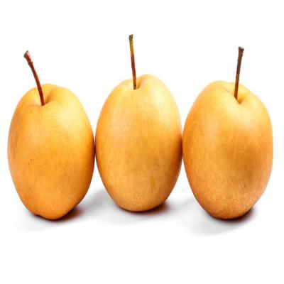 China Wholesale Fresh Price Fresh Pear Fresh Pears Fruit for sale