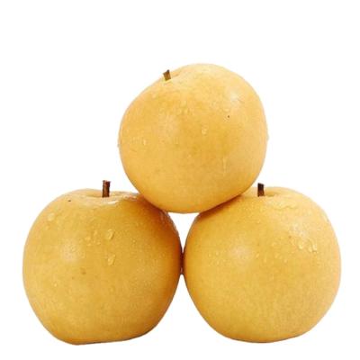 China China Selling Fresh Whole Fresh Crown Pear Sweet Golden Pears for sale