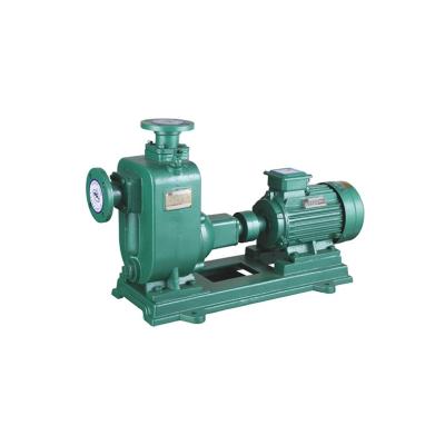 China Horizontal Irrigation and Agriculture Durable Aquarium Split Shaft Self-Priming Suction Sewage Water Pump Bare Shaft Pump with Motor for sale