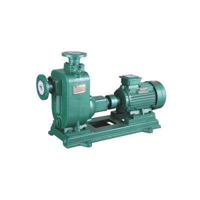 China Horizontal Irrigation and Agriculture Wholesale Aquarium Pump Split Suction Self-priming Sewage Shaft Water Pump Bare Motor for sale