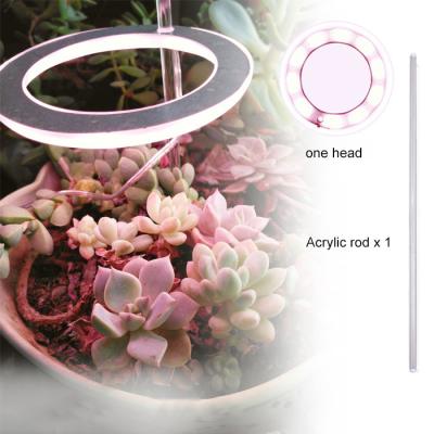 China Seed Starting Angel Ring LED Aquarium Light for Fish Underwater Household Full Spectrum Indoor Plant Flower Lamp Aquatic Lighting for sale