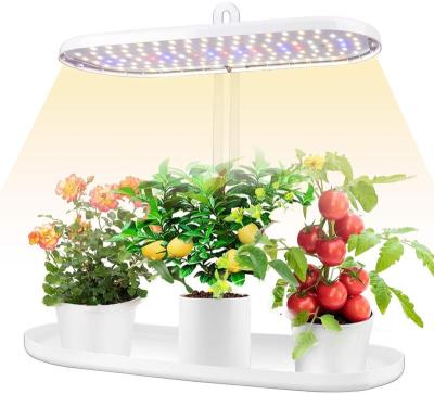 China Seed Starting Indoor Garden Led To Raise Light Growing System Herb Seeds Kitchen Garden Grow Kit House Plant Growing Lamps With Timer for sale